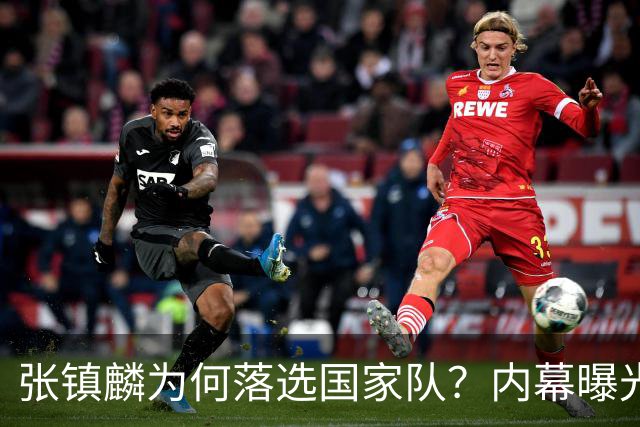 张镇麟为何落选国家队？内幕曝光，叫人心疼，郭士强并没放弃他
