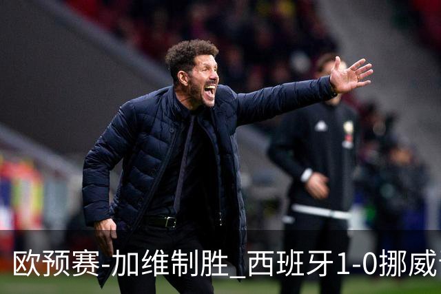 欧预赛-加维制胜 西班牙1-0挪威晋级欧洲杯正赛